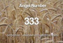 Angel Number 333