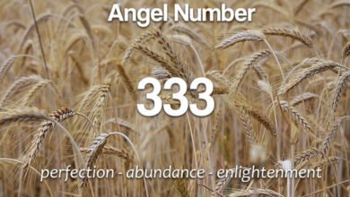 Angel Number 333