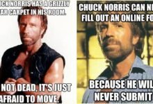 Chuck Norris Jokes